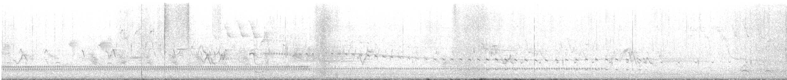 Sora - ML637196886