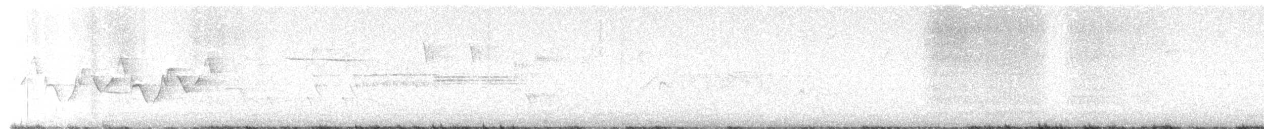 Blackpoll Warbler - ML637198389