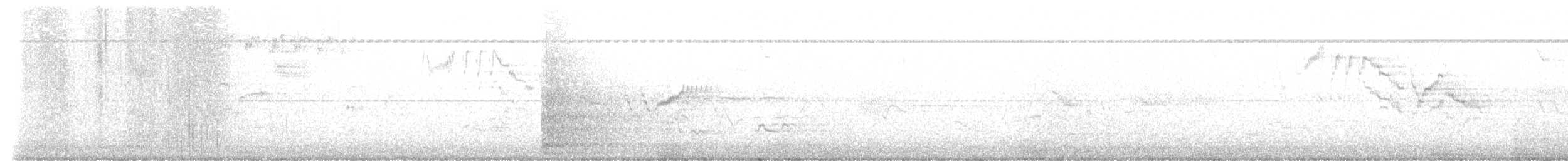 Bicknell's Thrush - ML637198605