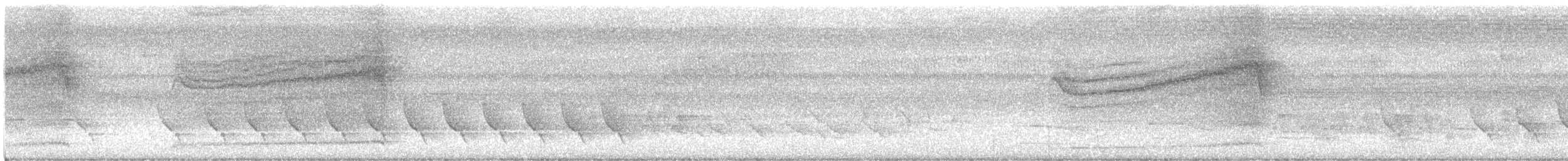 Barred Owl - ML637199401