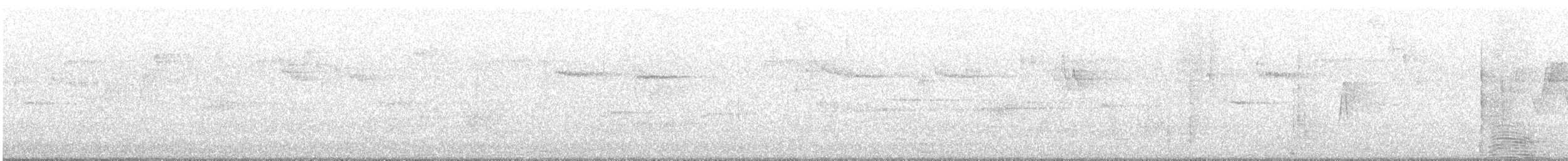 White Ibis - ML637202496