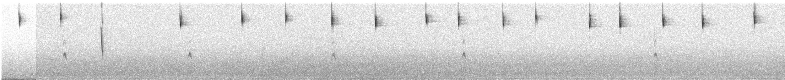 Song Sparrow (melodia/atlantica) - ML637202529