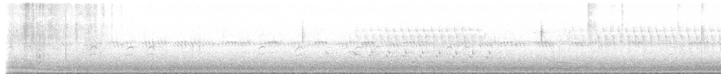 White-winged Crossbill - ML637203825
