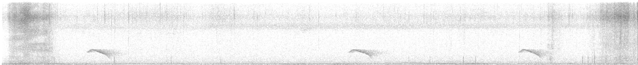 Ocellated Tapaculo - ML637205076