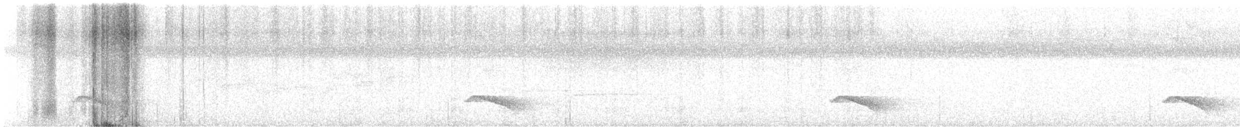 Ocellated Tapaculo - ML637205077