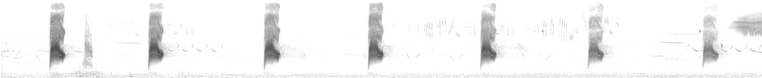 Common Nighthawk - ML637205154