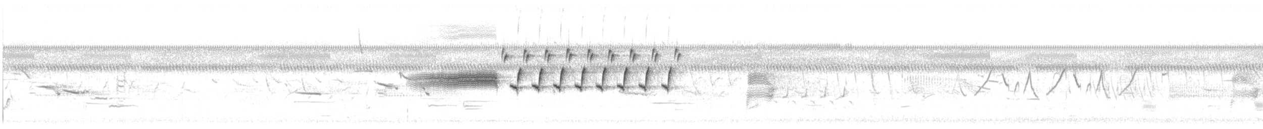 Bachman's Sparrow - ML637205223