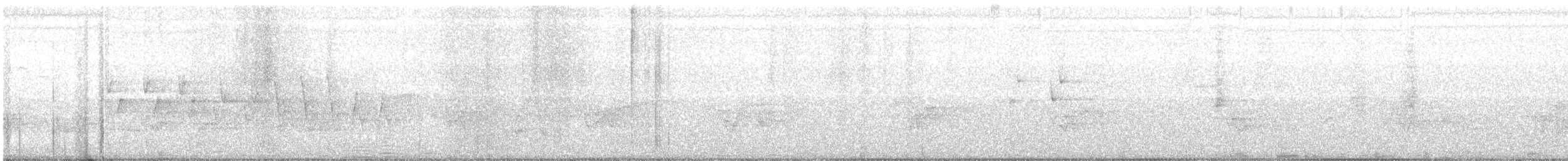 Northern Waterthrush - ML637206177