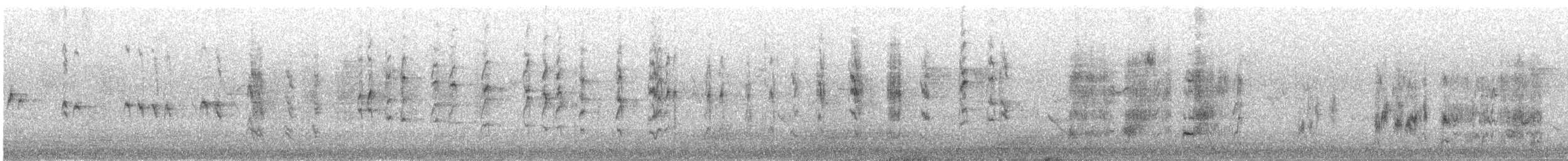 Cape Sugarbird - ML637206851