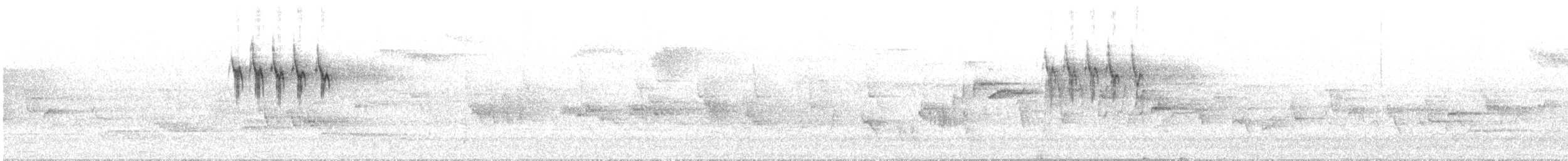 灰鶺鴒 - ML637210036