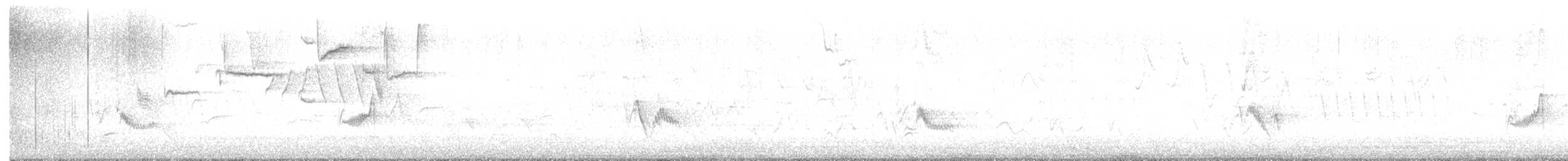 Plumbeous Vireo - ML637210238