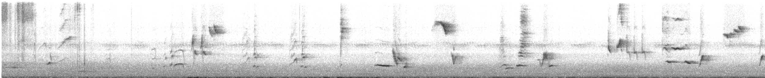 Кошачий пересмешник - ML637211336