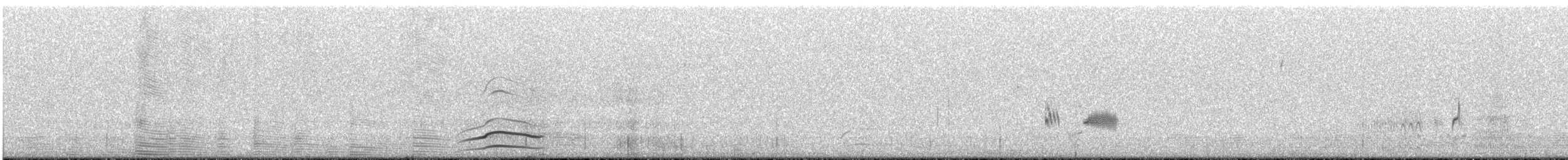 Phainopepla - ML637211613