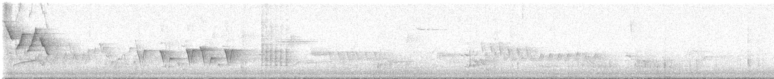 Connecticut Warbler - ML637211622
