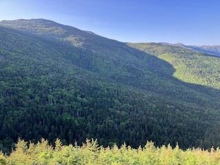 White Mt. NF--Caps Ridge Trail, Coos, New Hampshire, United States ...