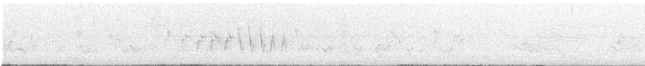 Northern Waterthrush - ML637213372