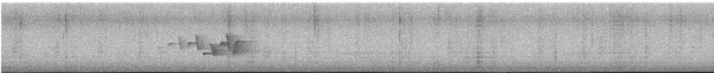 Connecticut Warbler - ML637219429