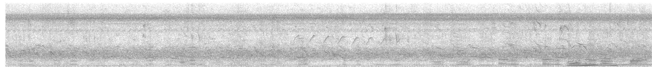 Neotropic Cormorant - ML637223913
