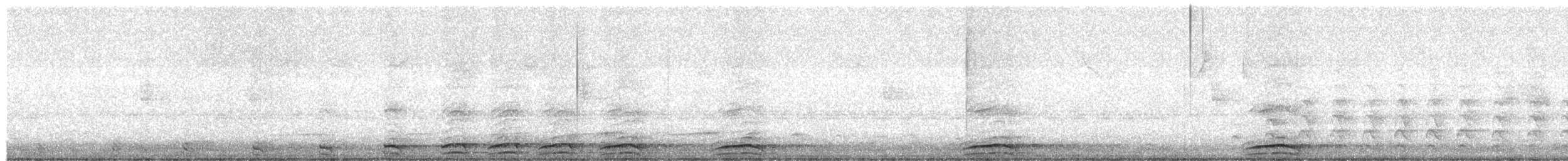 Collared Forest-Falcon - ML637224531
