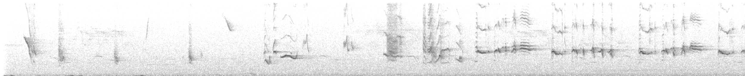 Miaulari grisa - ML637226677