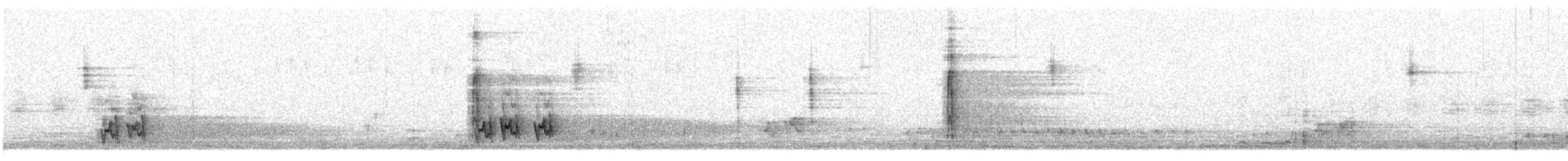 アカハラツグミモドキ - ML637228244