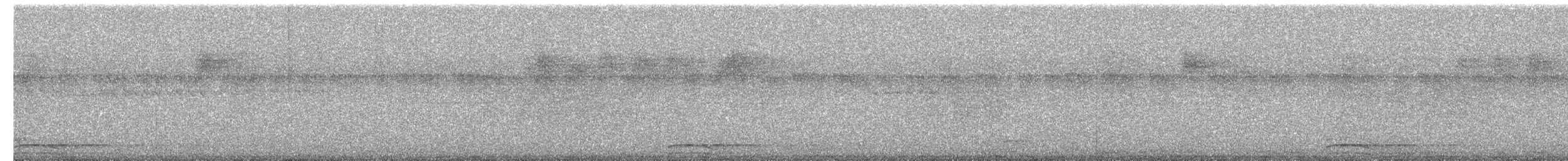 Collared Forest-Falcon - ML637228727