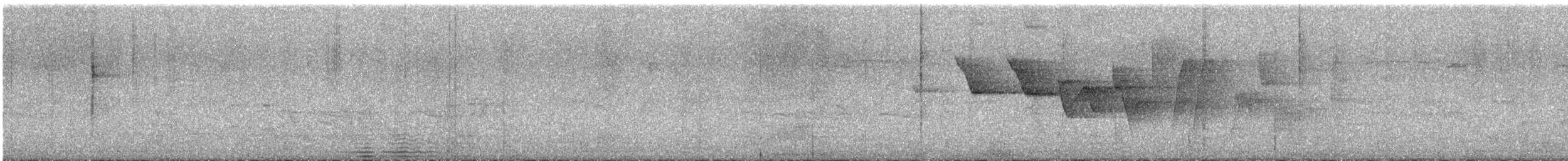 Louisiana Waterthrush - ML637230759