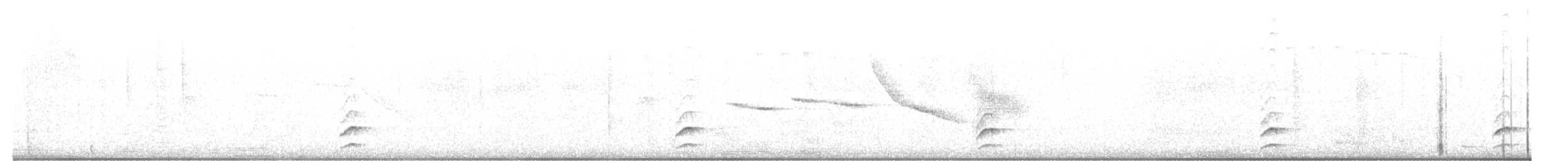 Long-tailed Tapaculo - ML637233846