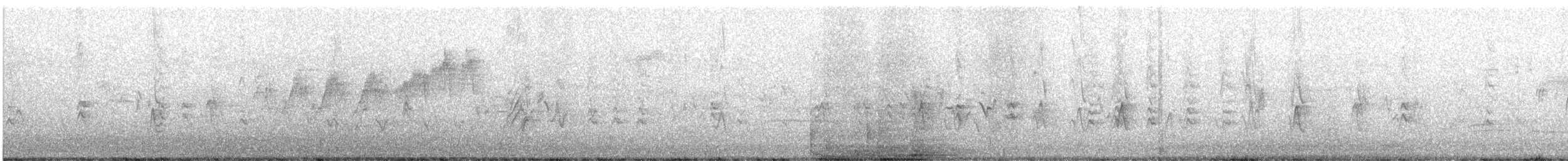 stryparula - ML637236935