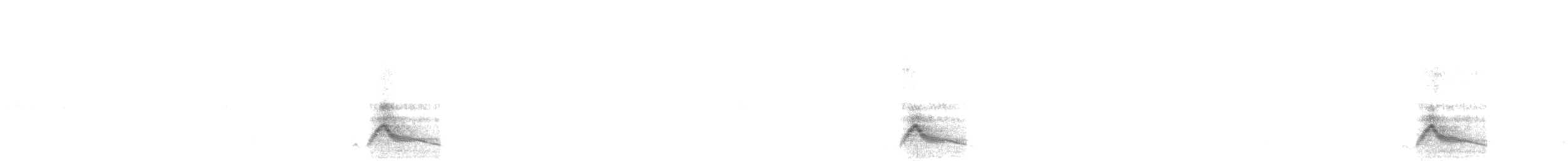 Common Pauraque - ML637238309