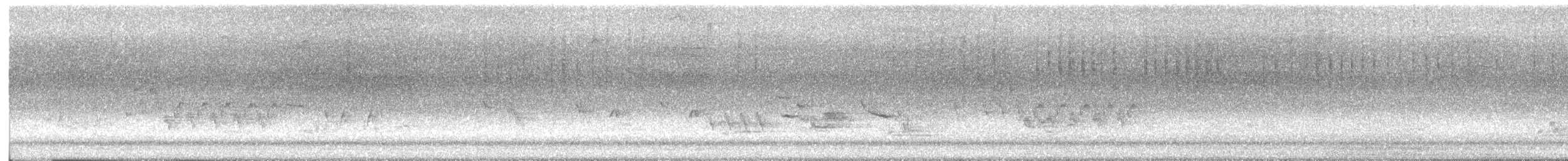 Northern House Wren - ML637239441