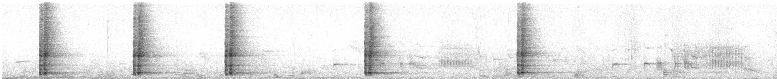 Ring-necked Pheasant - ML637239909