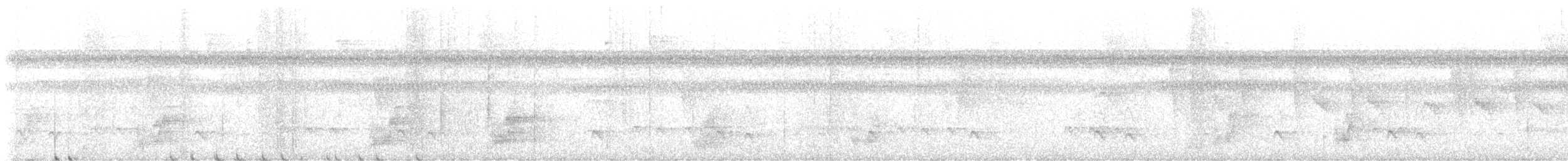 Streak-capped Antwren - ML637240081