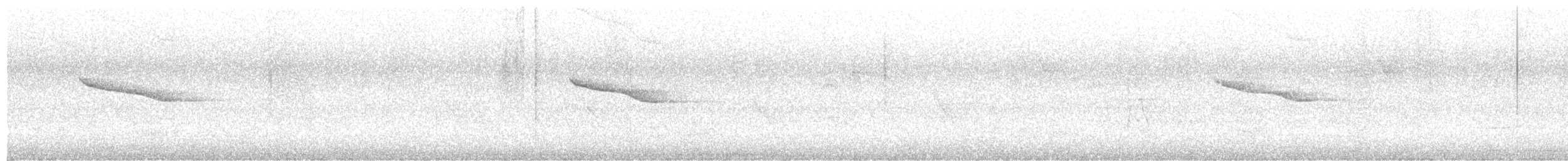orientskjæreskvett - ML637240097