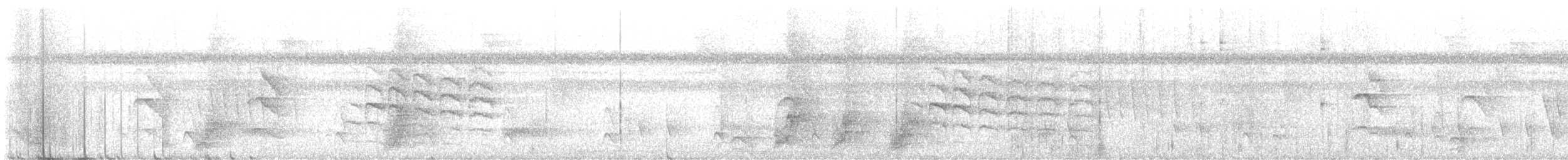 Band-tailed Antwren - ML637240106
