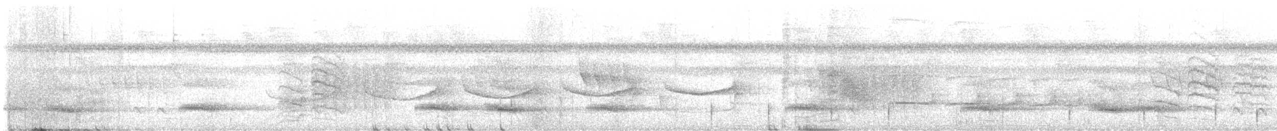 Band-tailed Antwren - ML637240107