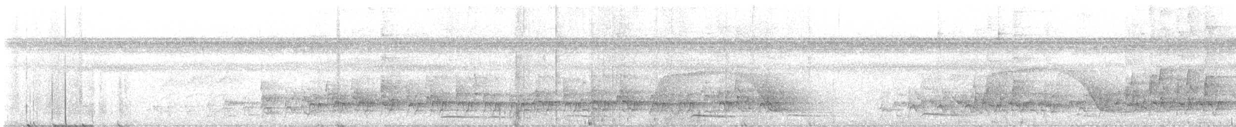 White-fronted Nunbird - ML637240126