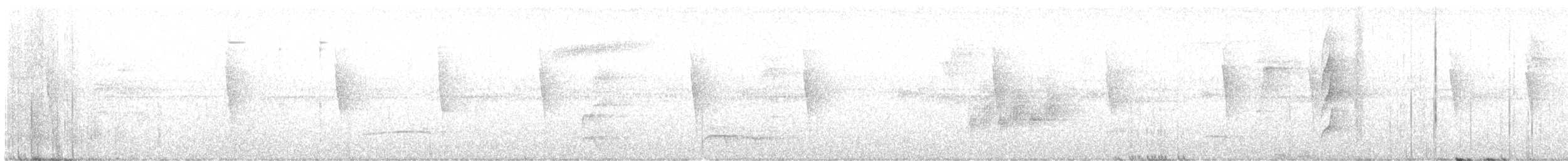 White-throated Spadebill - ML637240566