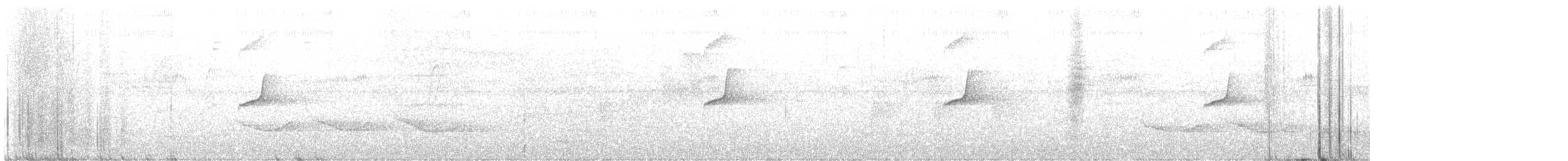 Myrmidon de Salvadori - ML637240577