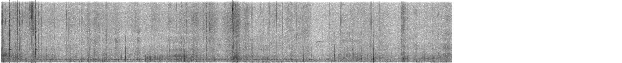 Lesser Nighthawk - ML637241068