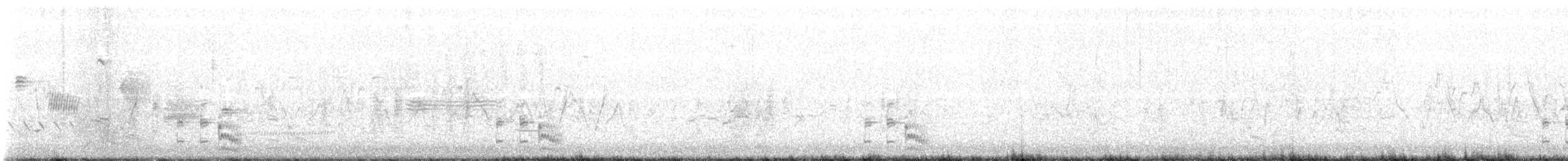 chřástal tmavý (ssp. jamaicensis/coturniculus) - ML637241249