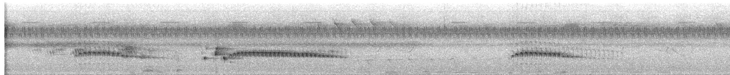Alción de la Sonda - ML637242167