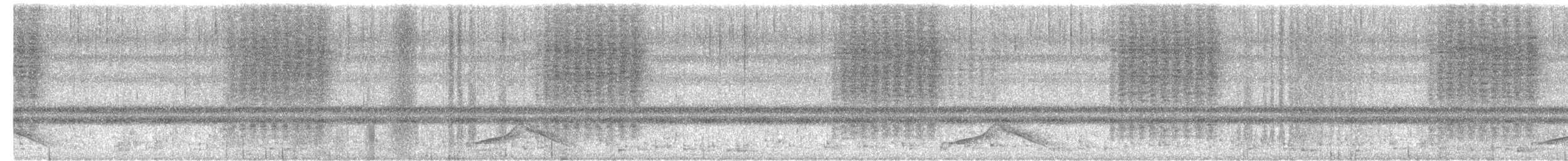 Common Pauraque - ML637242387