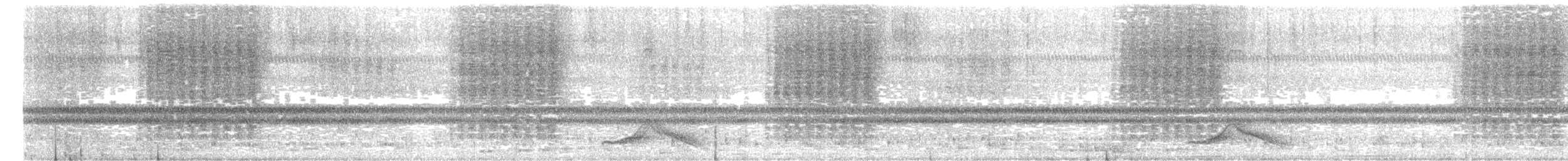 Common Pauraque - ML637242418