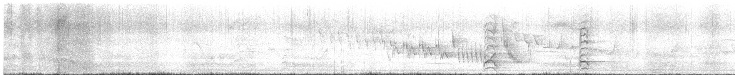 Little Egret - ML637243103