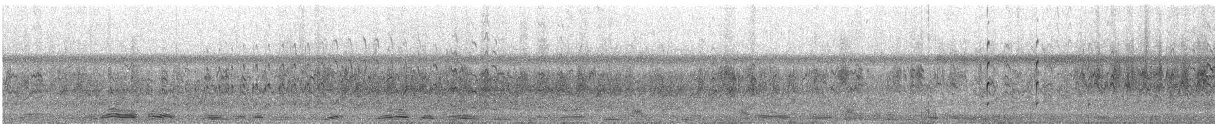 Black-winged Pratincole - ML637244133
