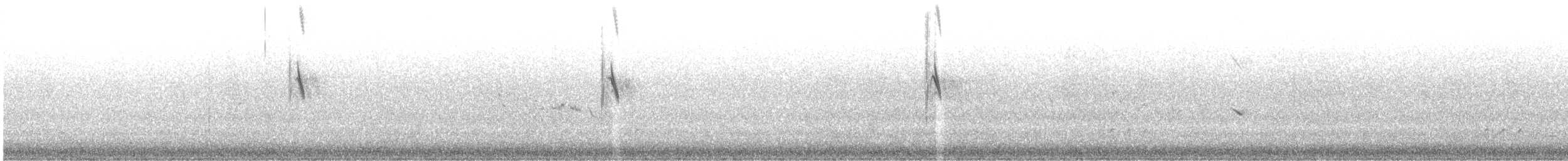 Plain-backed Pipit - ML637244175