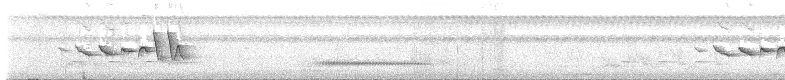 Paruline de Swainson - ML637250237