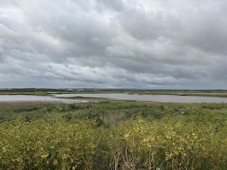 Cliffe Pools RSPB Reserve, Kent, England, United Kingdom - eBird Hotspot