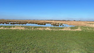 Willow Tree Fen LWT NR, Lincolnshire, England, United Kingdom - eBird ...